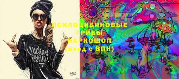 мет Алексин