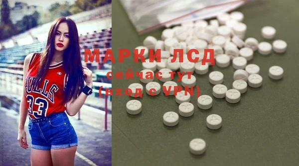 сатива Алексеевка
